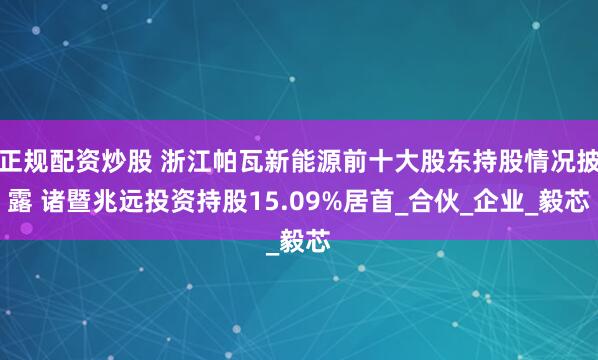 正规配资炒股 浙江帕瓦新能源前十大股东持股情况披露 诸暨兆远投资持股15.09%居首_合伙_企业_毅芯