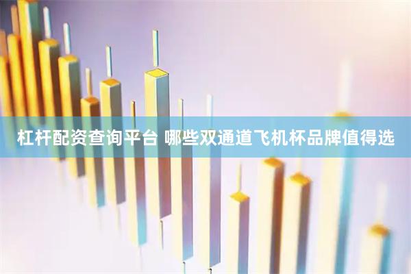 杠杆配资查询平台 哪些双通道飞机杯品牌值得选