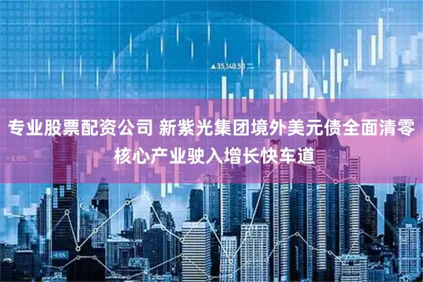 专业股票配资公司 新紫光集团境外美元债全面清零 核心产业驶入增长快车道
